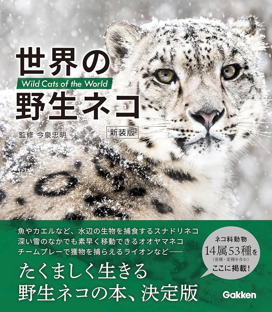 Amazon.co.jp: 世界の野生ネコ 新装版 電子書籍: 今泉忠明